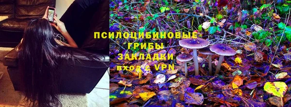 ПСИЛОЦИБИНОВЫЕ ГРИБЫ Каменногорск