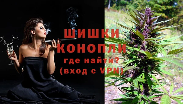 ПСИЛОЦИБИНОВЫЕ ГРИБЫ Каменногорск