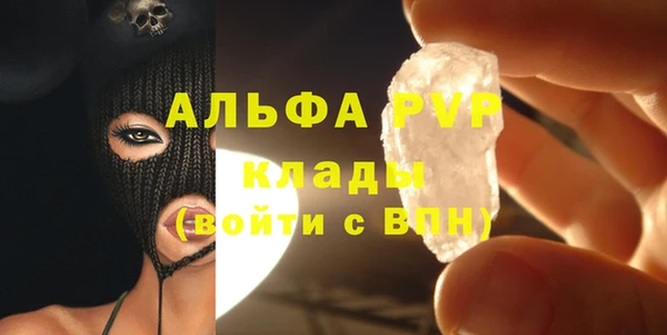 ПСИЛОЦИБИНОВЫЕ ГРИБЫ Каменногорск