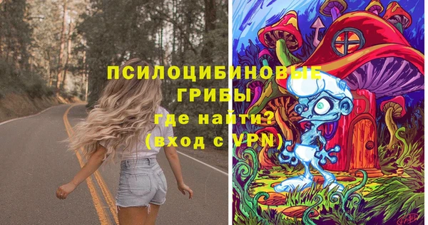 марки lsd Инта