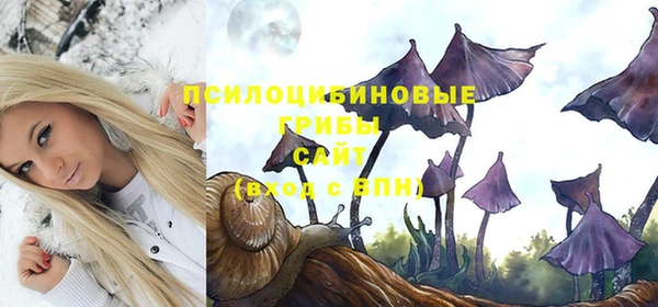 винт Каменск-Шахтинский