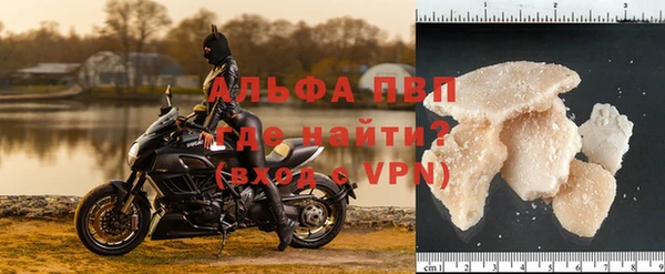ПСИЛОЦИБИНОВЫЕ ГРИБЫ Каменногорск