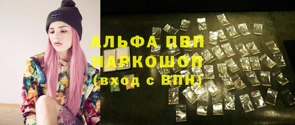гашик Зеленокумск