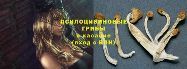 винт Каменск-Шахтинский