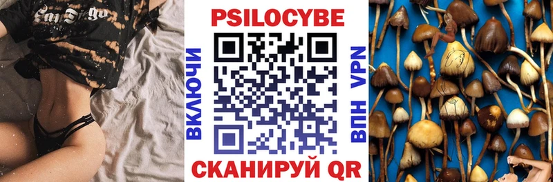 Псилоцибиновые грибы Cubensis  где продают наркотики  Курчатов 