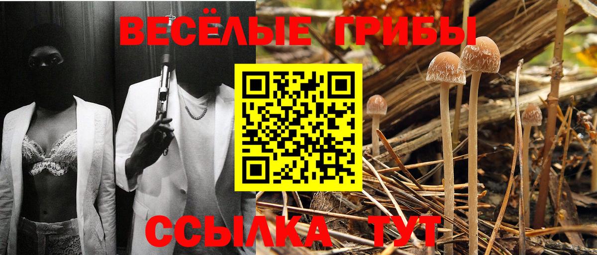 Псилоцибиновые грибы мухоморы  Псилоцибиновые грибы MAGIC MUSHROOMS  Курчатов  наркошоп  Вход с VPN 